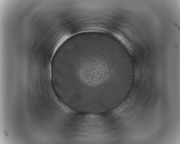 X0000091171275200708161452