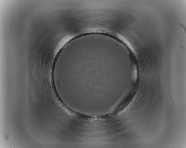 X0000091171277200708161452