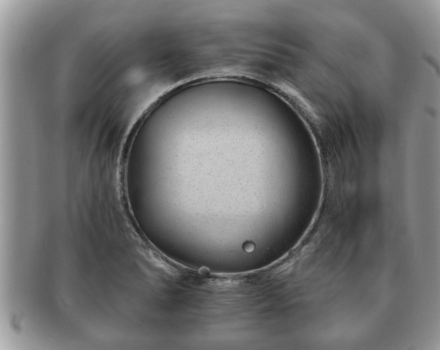 X0000091171278200708161452