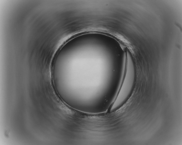 X0000091171280200708161452