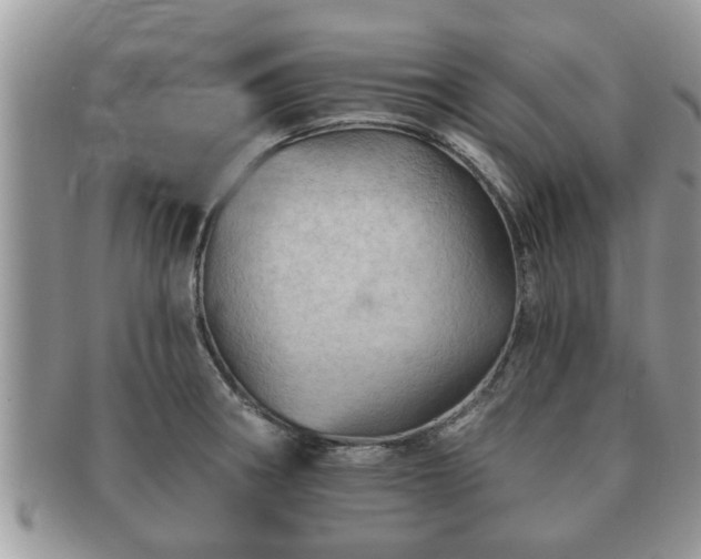 X0000091171282200708161452