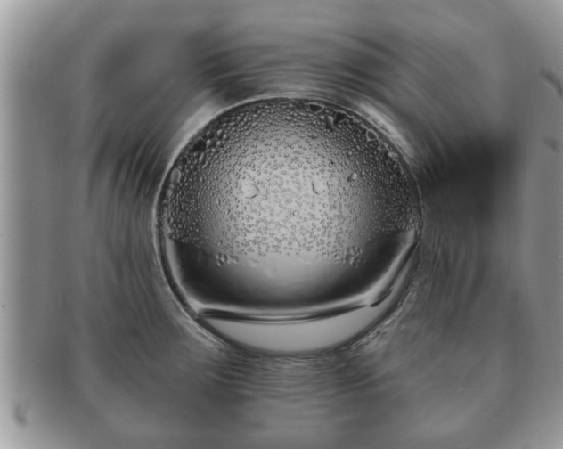 X0000091171283200708161452