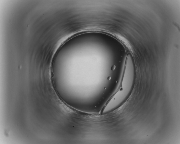 X0000091171288200708161452