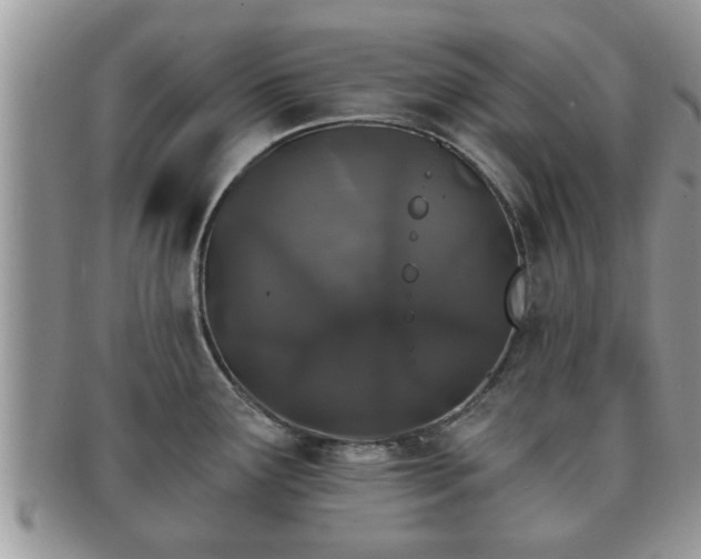 X0000091171291200708161452
