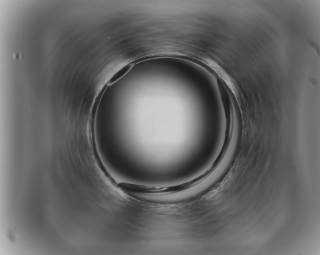 X0000091171293200708161452