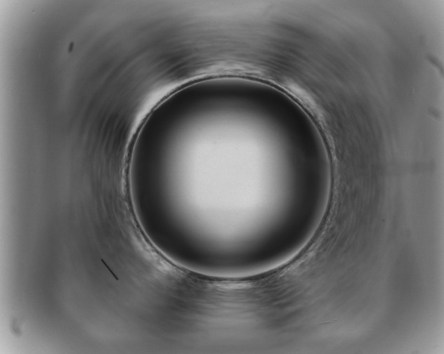 X0000091171296200708161452