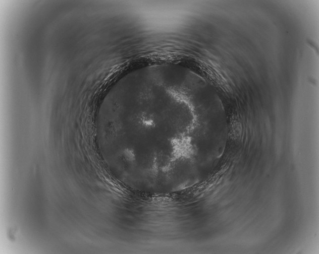 X0000091171297200708161451