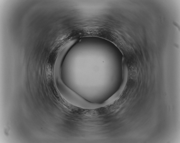 X0000091171298200708161451