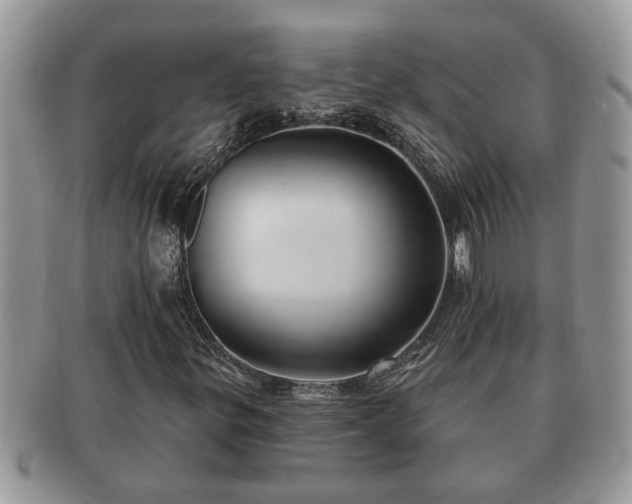 X0000091171299200708161451