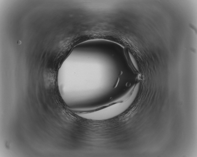 X0000091171300200708161451