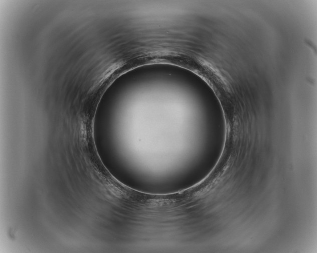 X0000091171305200708161451