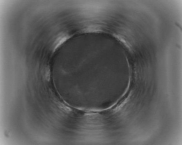 X0000091171306200708161451