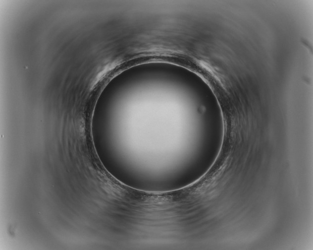 X0000091171307200708161451