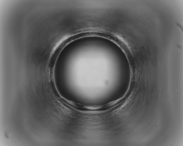 X0000091171310200708161451