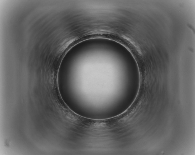X0000091171313200708161451
