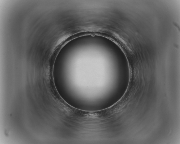 X0000091171315200708161451