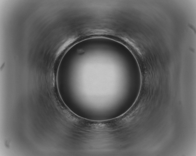 X0000091171317200708161451