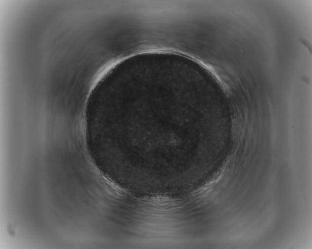 X0000091171319200708161451