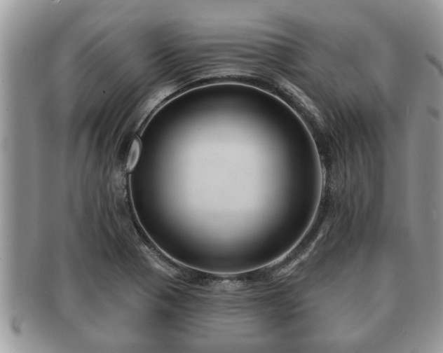 X0000091171321200708161451