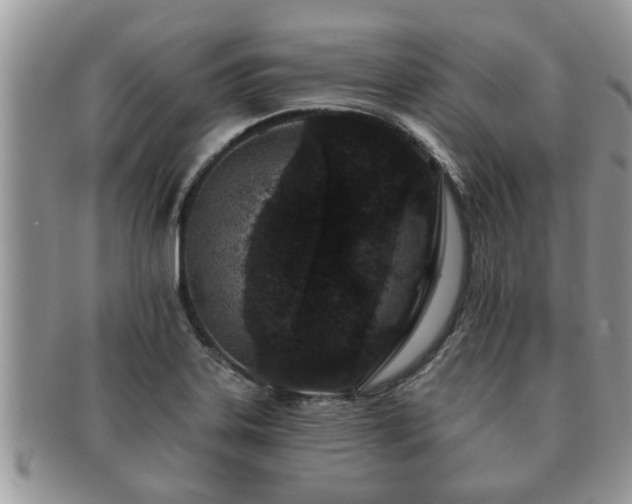X0000091171323200708161451
