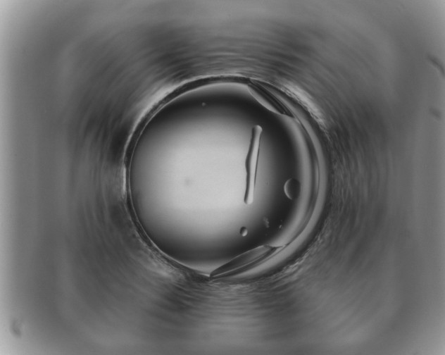 X0000091171324200708161451