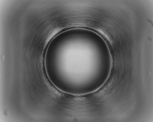 X0000091171325200708161451