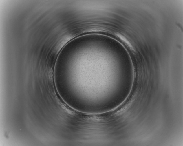 X0000091171329200708161451