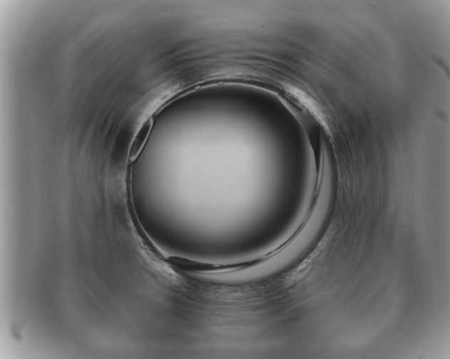 X0000091171330200708161451