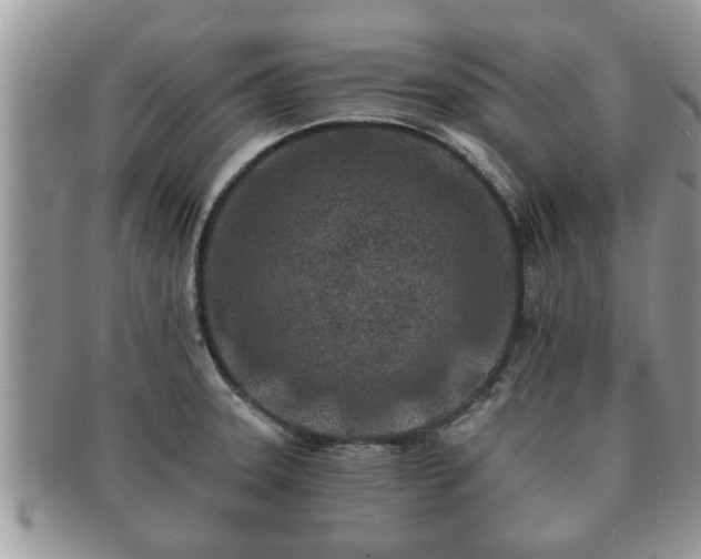X0000091171331200708161451