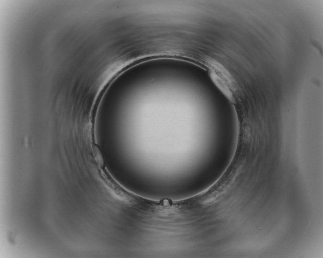 X0000091171332200708161451