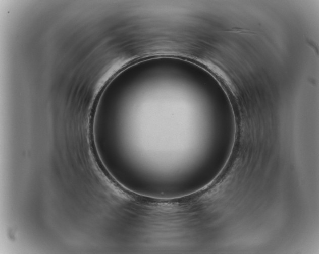 X0000091171333200708161451