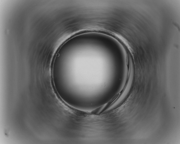 X0000091171335200708161451