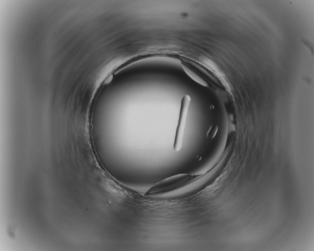 X0000091171336200708161451