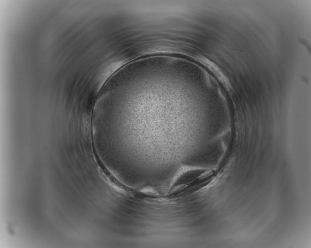 X0000091171337200708161451