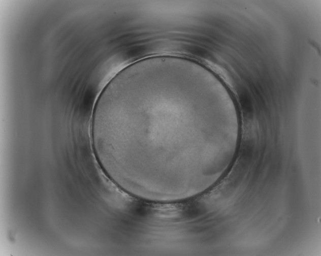 X0000091171338200708161451