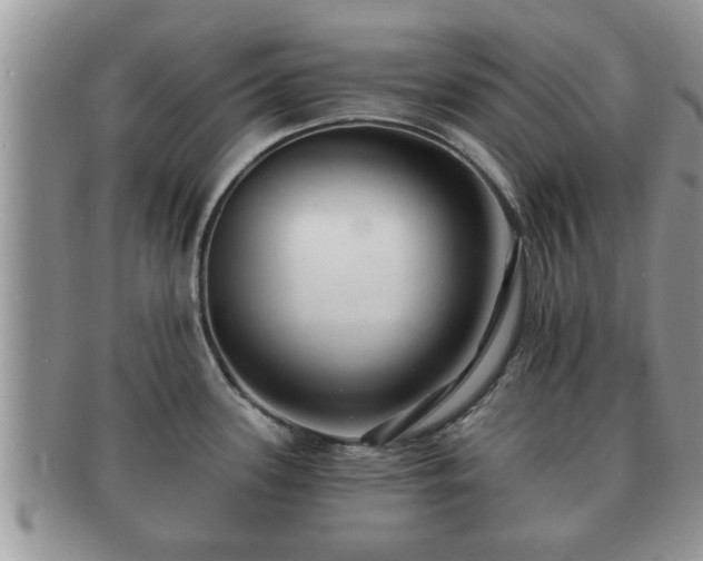 X0000091171339200708161452