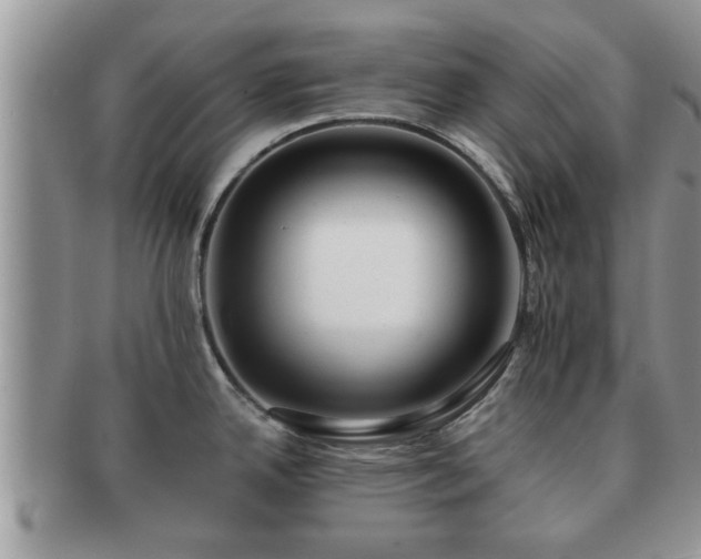 X0000091171342200708161452