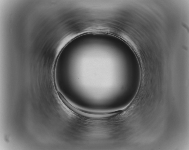 X0000091171344200708161452