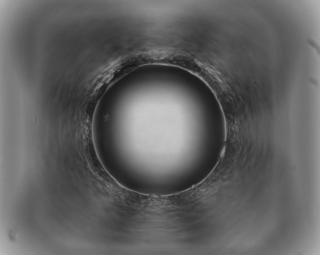 X0000091171349200708161451