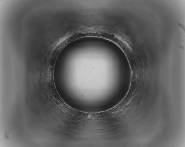 X0000091171350200708161451