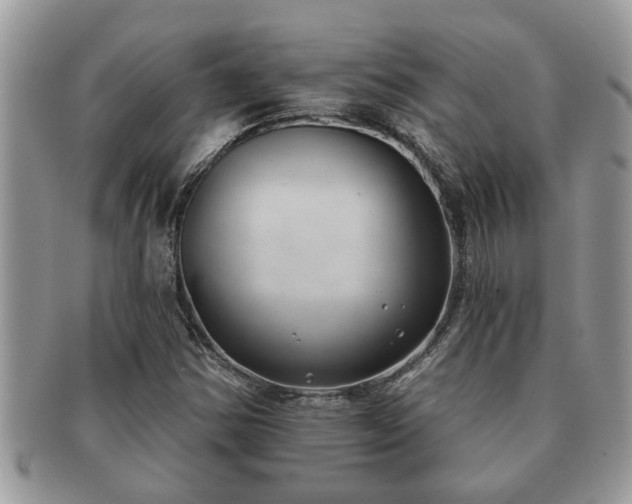 X0000091171354200708161451