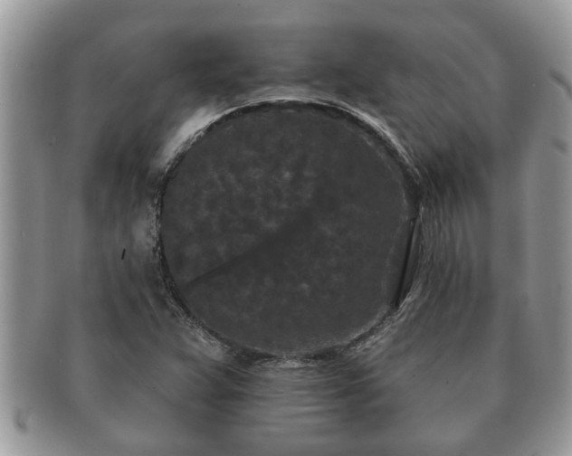 X0000091171359200708161451