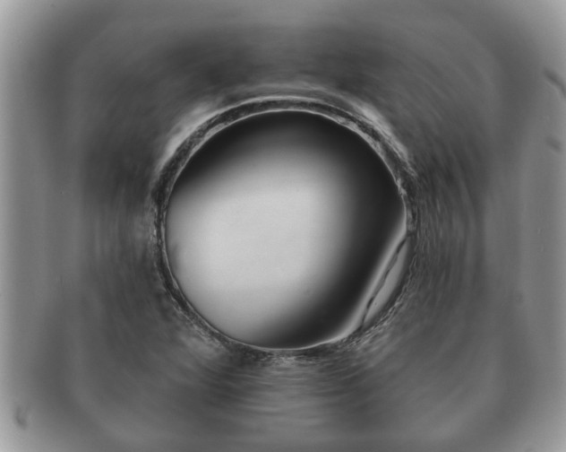 X0000091171360200708161451