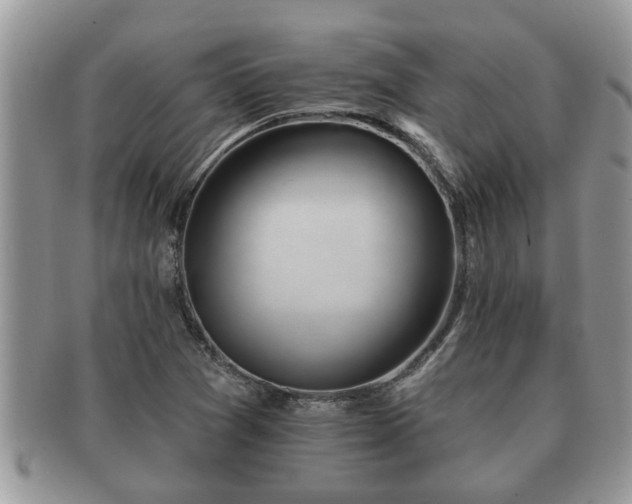 X0000091171361200708161451