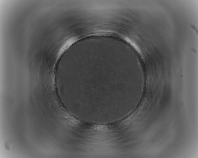 X0000091171362200708161451