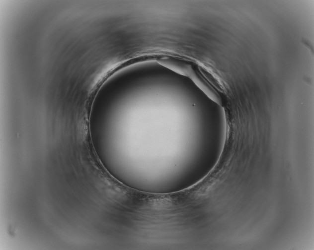 X0000091171363200708161451