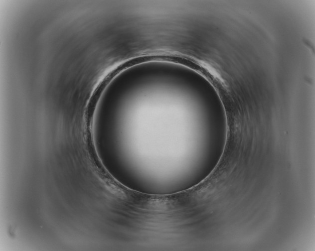 X0000091171364200708161451
