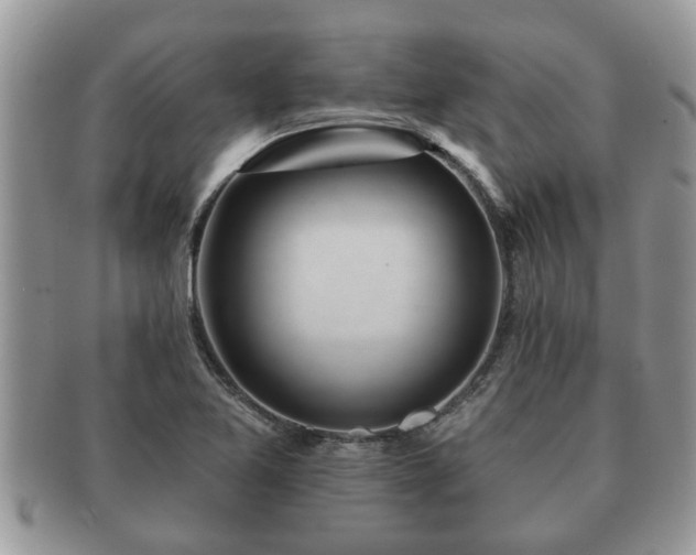 X0000091171365200708161451