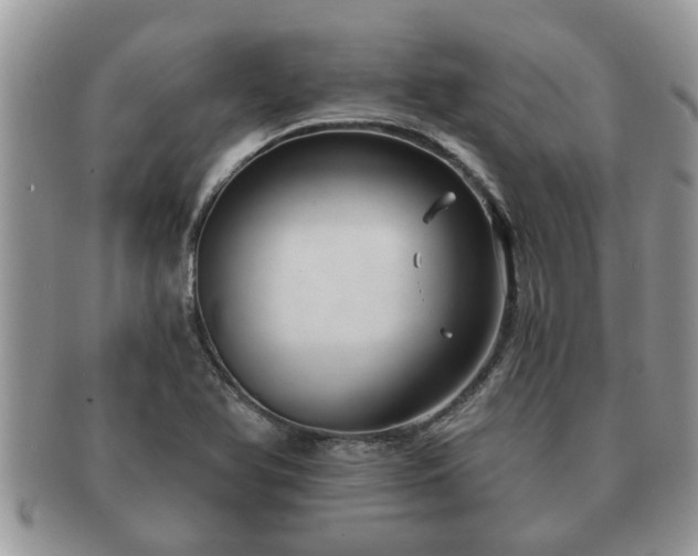 X0000091171366200708161451