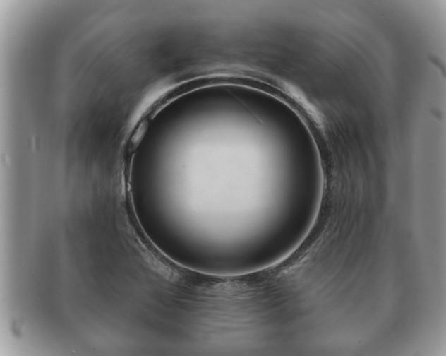 X0000091171368200708161451